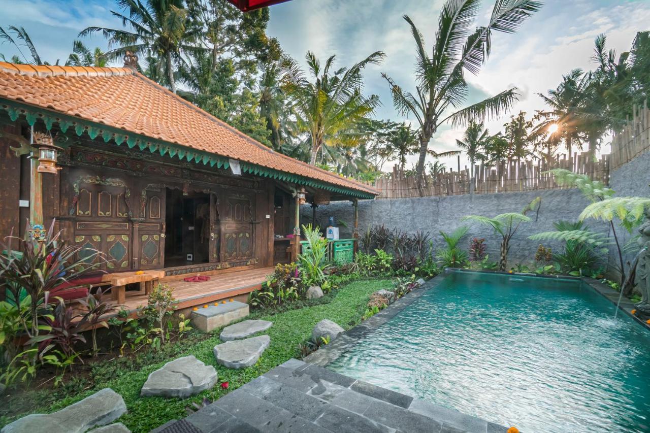 The Forest Batu Kurung Ubud Zewnętrze zdjęcie